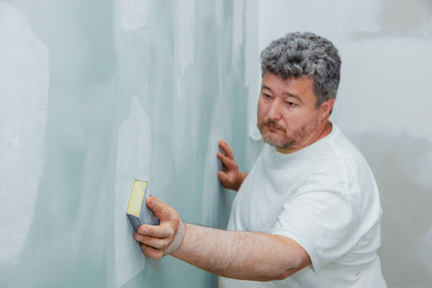 Best Drywall Repair  in USA